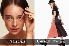 Dasha-1