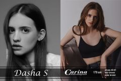 Dasha-S